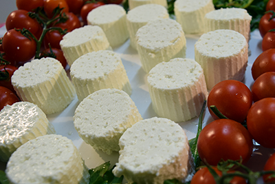 Ricotta di pecora